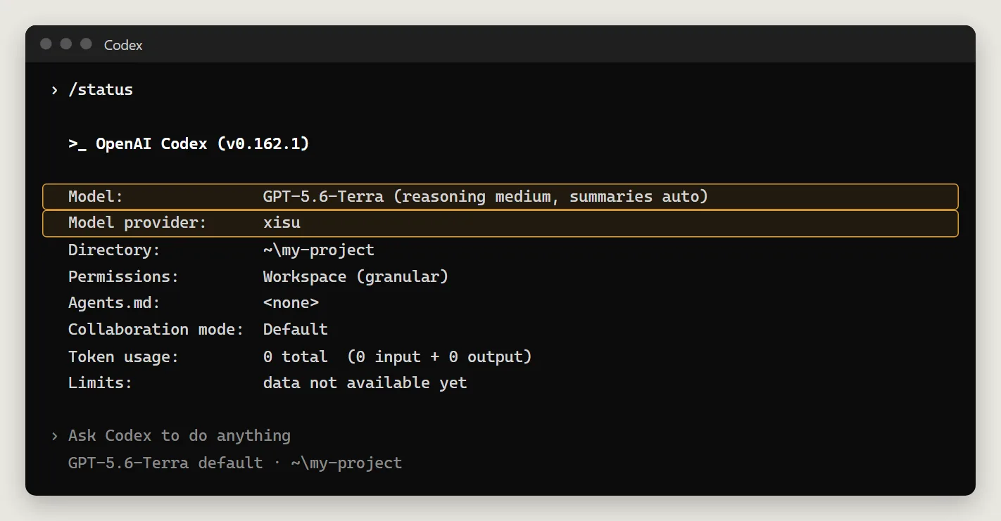 /status in Codex CLI