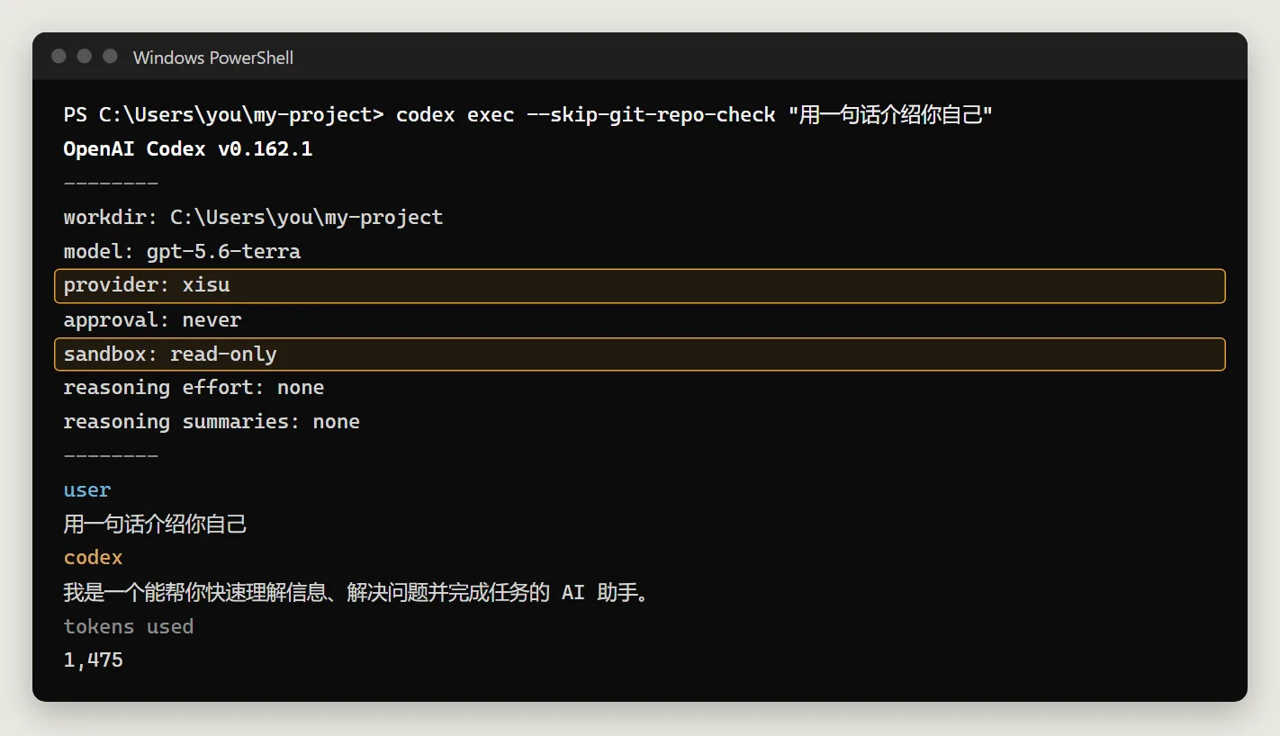 codex exec output